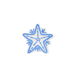 Bogg Bit  - Blue Starfish