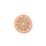 Bogg Bit  - Orange Slice